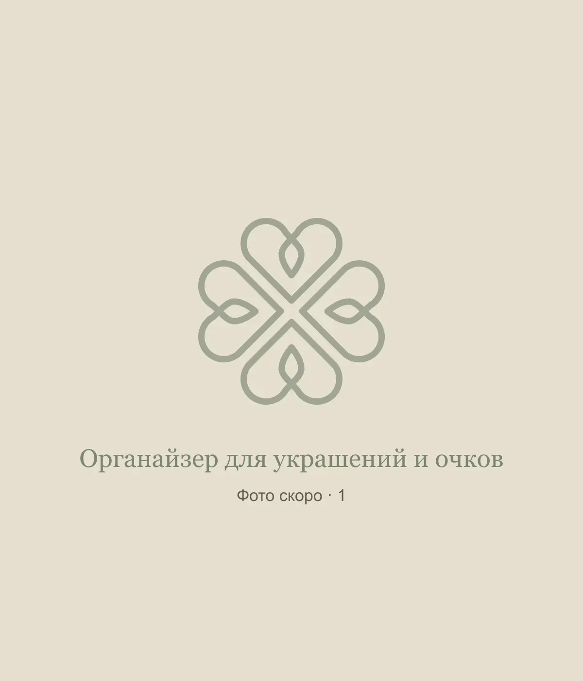 Органайзер для украшений и очков: временная заглушка, фото 1