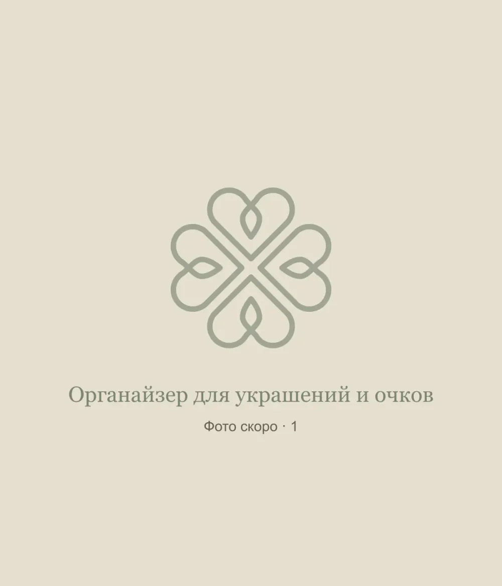 Органайзер для украшений и очков: временная заглушка, фото 1