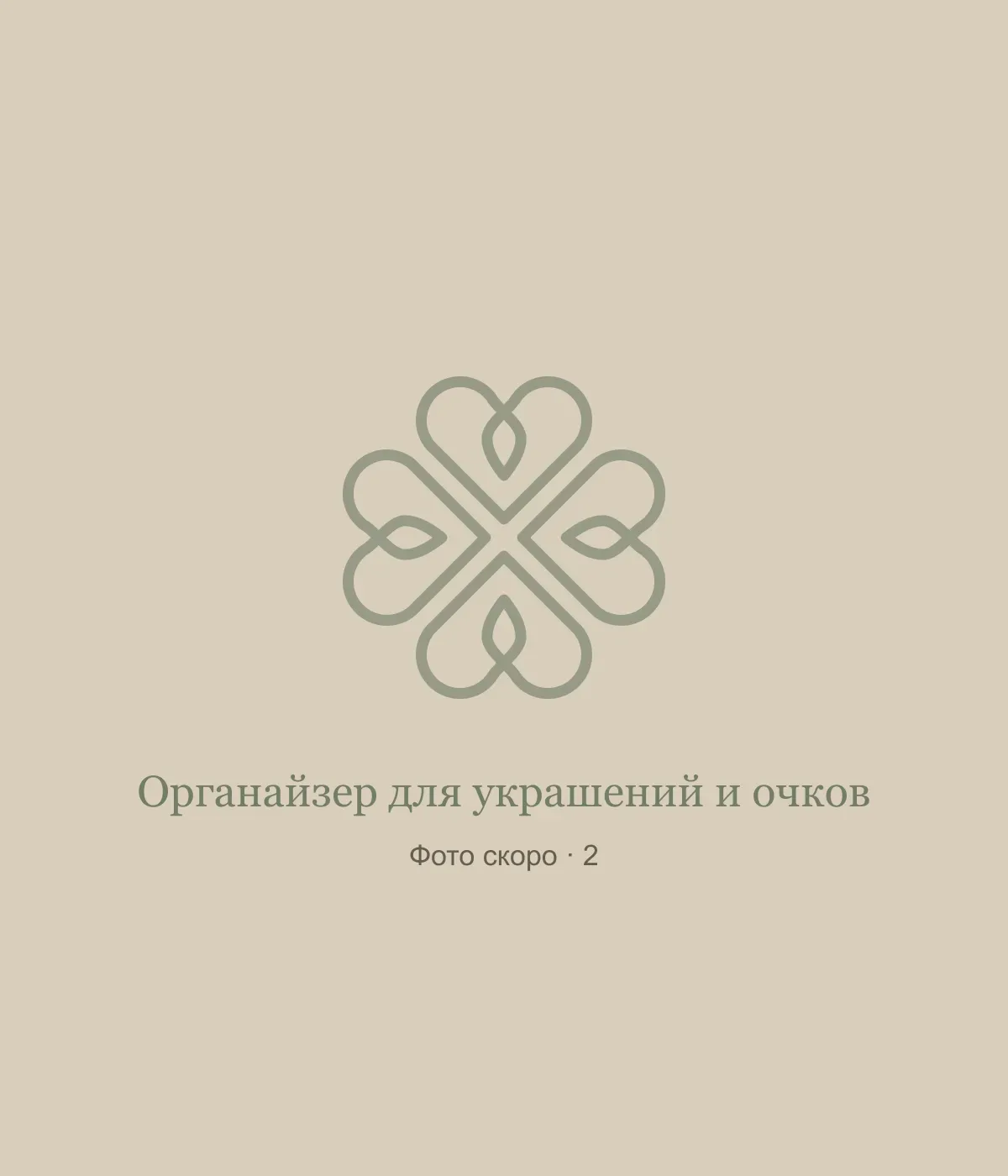 Органайзер для украшений и очков: временная заглушка, фото 2